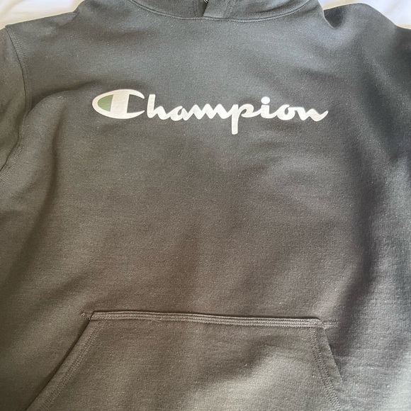 Champion Men’s Champion Hoodie Green Color Size Large - Picture 2 of 9